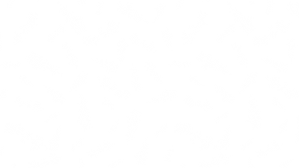 IH bg white.png