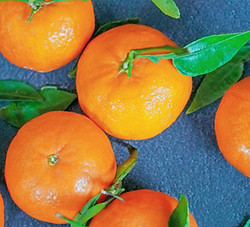 Clementines time!_edited.jpg