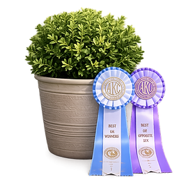 worlds_best_heeler_breeder.PNG
