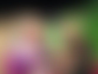 The Telegraph's Top 10 Pantos!