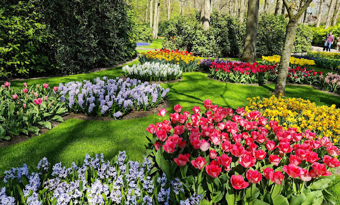 Amsterdam in Spring: 9 Things to Do in the City and Beyond