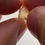 Thumbnail: Madagascar Sapphire facet rough 0.40g (1458p)