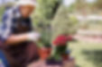 senior-man-working-field-with-plants.jpg