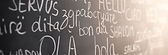 Chalkboard with Different Languages