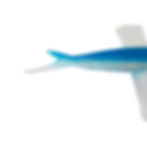 Thumbnail: flying fish bait