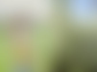 Portrait // Siddiqui Family Photos