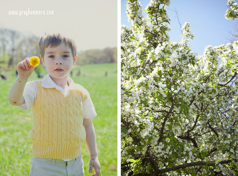 DC Family Photos at the National Arboretum