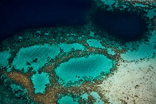 Solomon Islands 148_Coral reef_Haghalu village Ngela Island_20-08-2017_©Stuart Chape.jpg