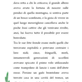 Il grande abete rosso