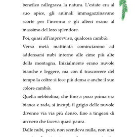 Il grande abete rosso