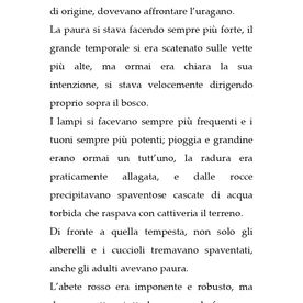 Il grande abete rosso