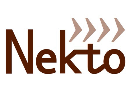 nekto.gif