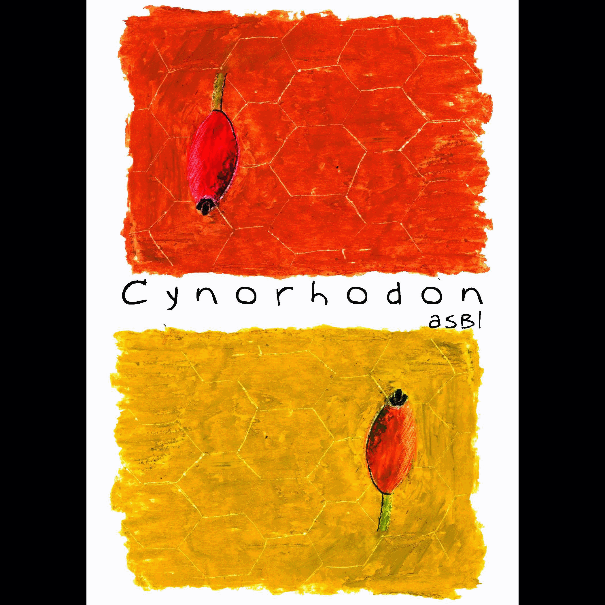 Cynorhodon_0.gif