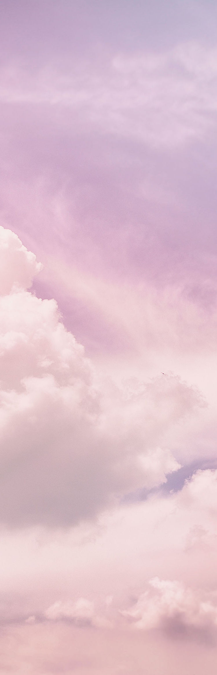 Pink Clouds