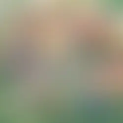 Yoga Workout: A Path to Physical and Mental Well-being