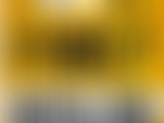 Navigating the Shadows: Cassandra McBride’s New Book Offers Hope for Survivors of Toxic Families.