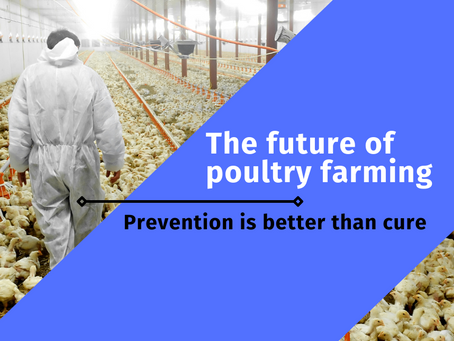 Prevention is better than Cure