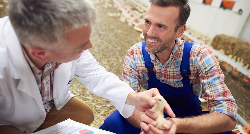 Science and tech fuel sustainability. The case of YieldX and early disease detection.