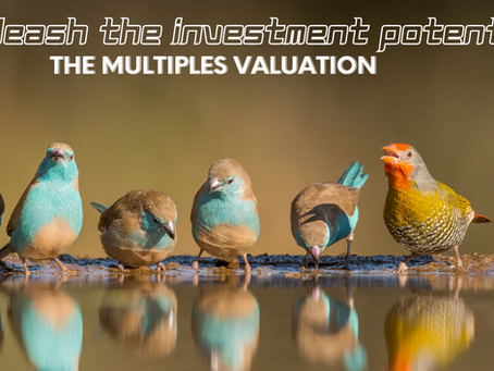 The Multiples: A Quick and Dirty Approach to Valuing a Company.