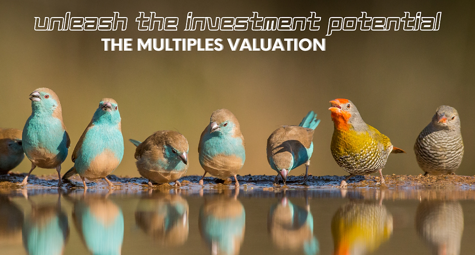 The Multiples - company valuation