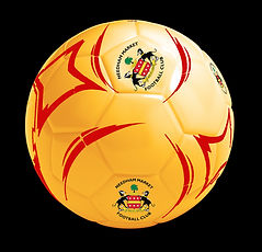 Needham Market Ball PERSONALISED 32 Panel-1.jpg