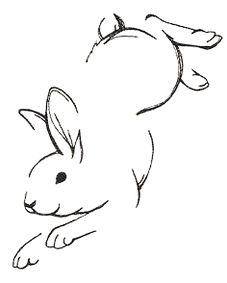 98aa9b7bd73cfc10f0c65ae6d9d313a5-removebg-preview (1).png