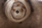 WaspNest.jpg