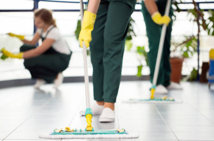 floor cleaning.jpeg