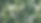 medium sized monstera leaves_edited.jpg