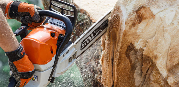 UVV Prüfung Kleingeräte, UVV Motorsäge