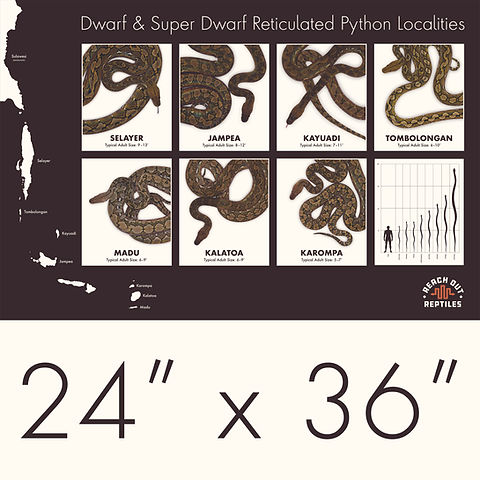 5e6ac9_506fec57aa8144e2bc62088