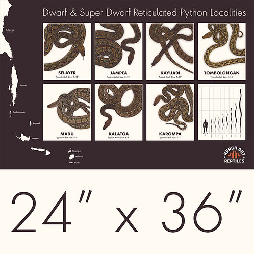 Dwarf and Super Dwarf Reticulated Python Localities Poster | Reach Out ...