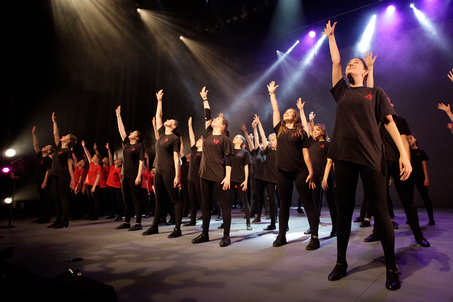 Ariel Co Theatre Drama Academies & Costume Hire