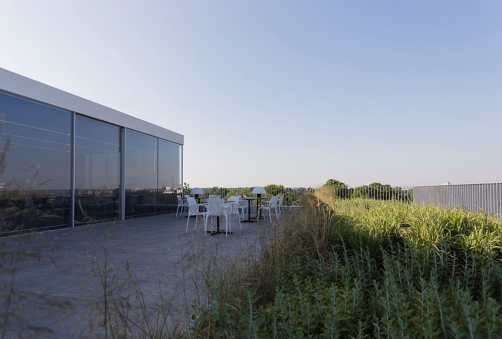 dell emc rooftop terrace planting and pavilion