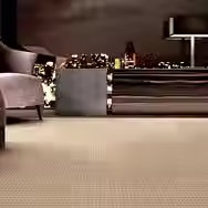 Carpet flooring of a big room