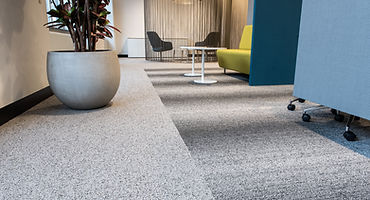 Modern Business Initerior carpet flooring