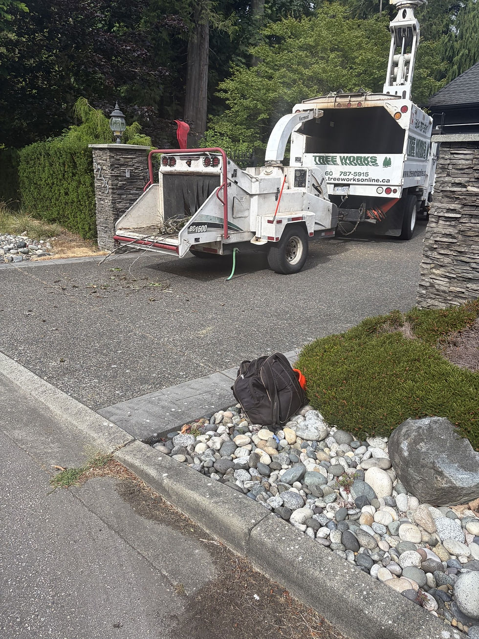 A truck parked in front of a residential house
