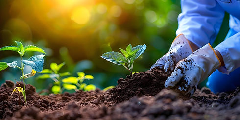 A person collecting soil samples for farm analysis and evaluation