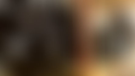 used auto parts Hamilton