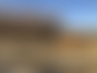 Pourquoi débroussailler son terrain? 8 raisons incontournables