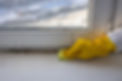 Cleaning the plastic window sill from mold and dirt