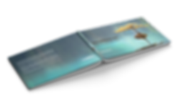 3 (Transparent with shadow).png