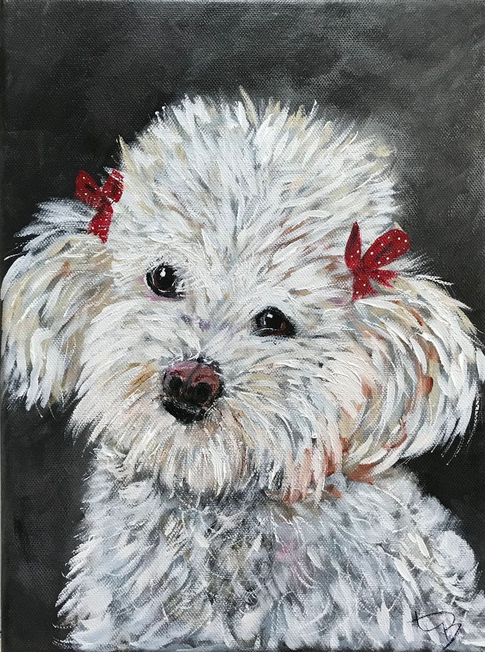 Cute Dog with red bows