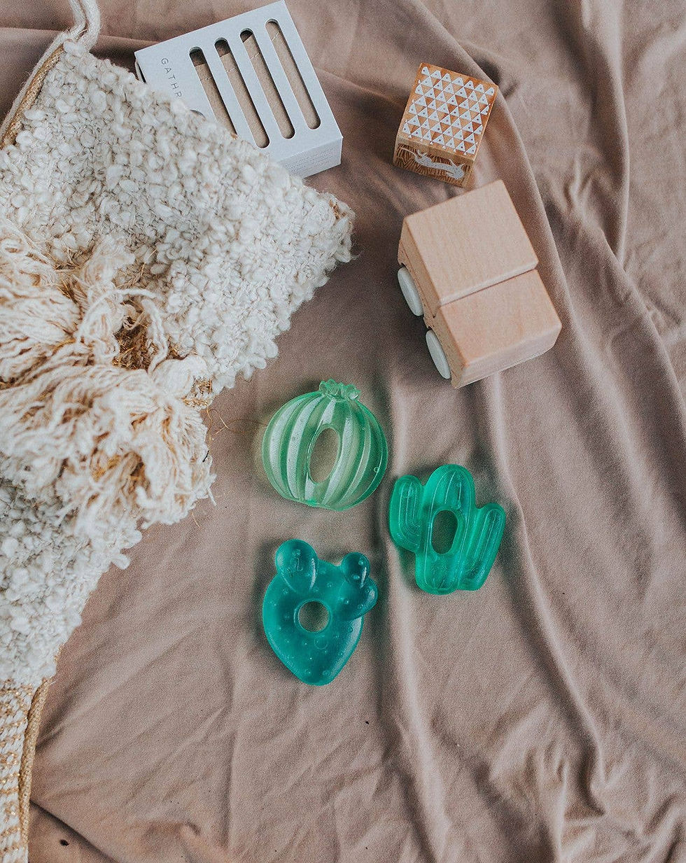 Thumbnail: Cutie Coolers™ Water Filled Teethers - Cactus
