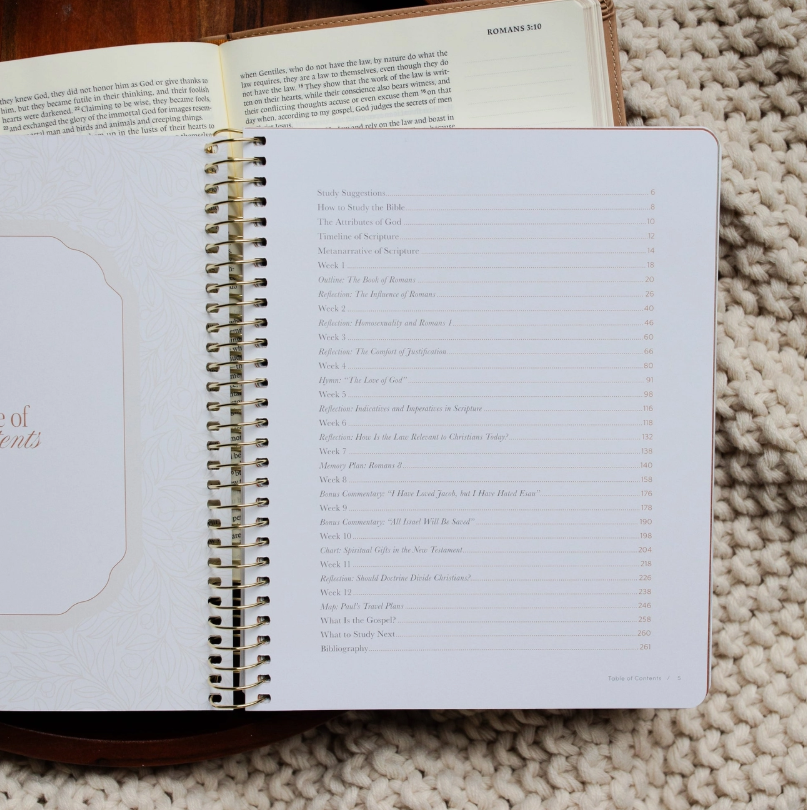Thumbnail: In Christ Alone: Romans Study (Womens Cover)
