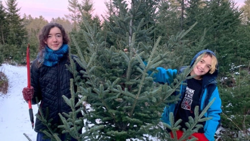 We found the right tree!!