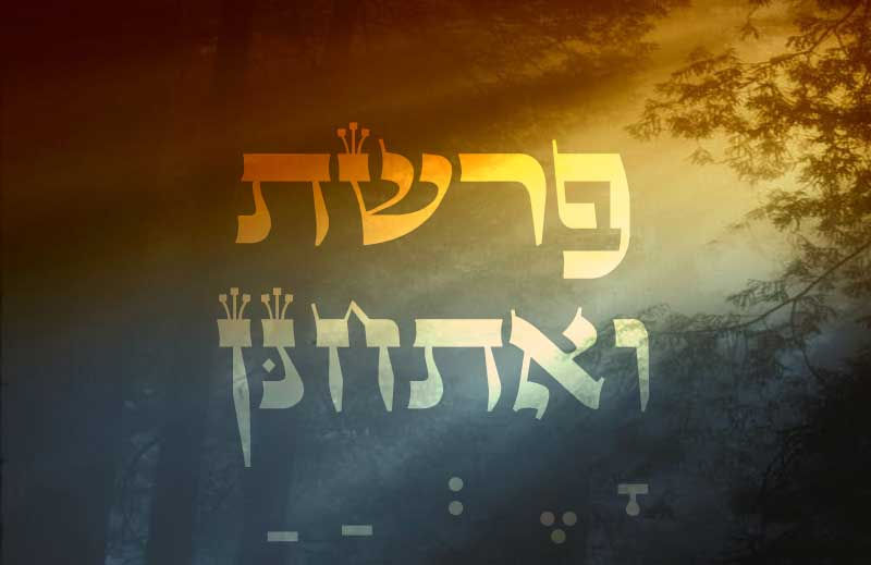 פרשת ואתחנן טקסט מקור עם ניקוד