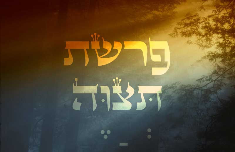 פרשת תצווה טקסט מקור עם ניקוד