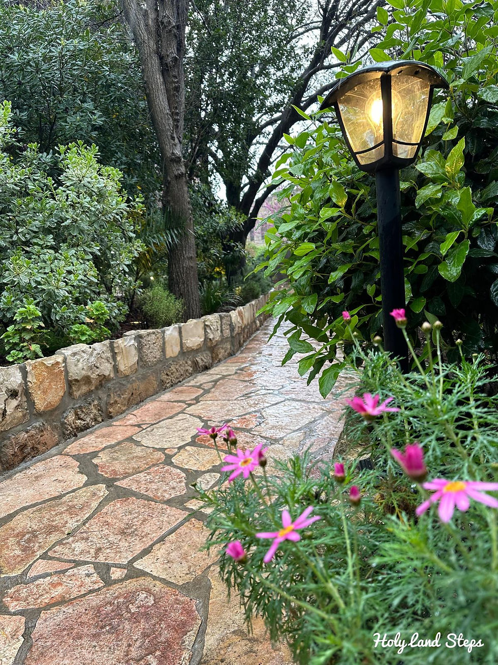 Ubicada justo fuera de las murallas de la Ciudad Vieja de Jerusalén, la Tumba del Jardín ofrece a los visitantes un entorno tranquilo para reflexionar sobre la resurrección de Jesús, siendo celebrada como un sitio de peregrinación clave para muchas denominaciones cristianas.