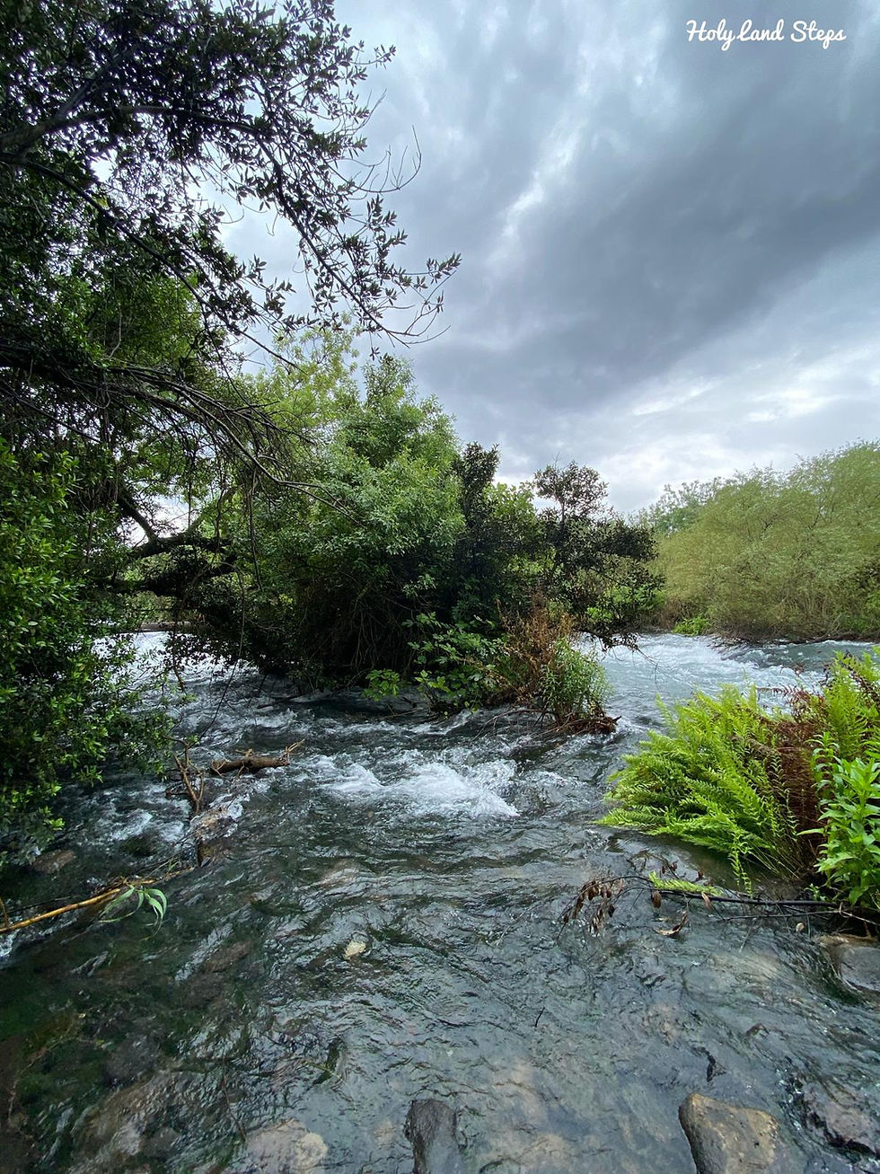 At the Dan Nature Reserve, nature comes alive with the soothing sound of flowing waters, shaded trails, and vibrant greenery — a perfect escape into one of Israel’s most beautiful and refreshing landscapes.